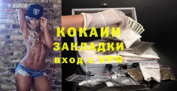 прущие грибы Абдулино