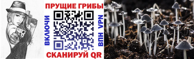 сайты даркнета состав  OMG рабочий сайт  Галлюциногенные грибы Psilocybine cubensis  Среднеколымск  магазин  наркотиков 